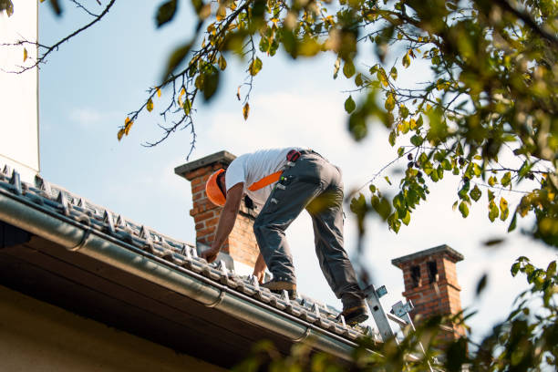 Best Tile Roofing Contractor  in Mayville, NY