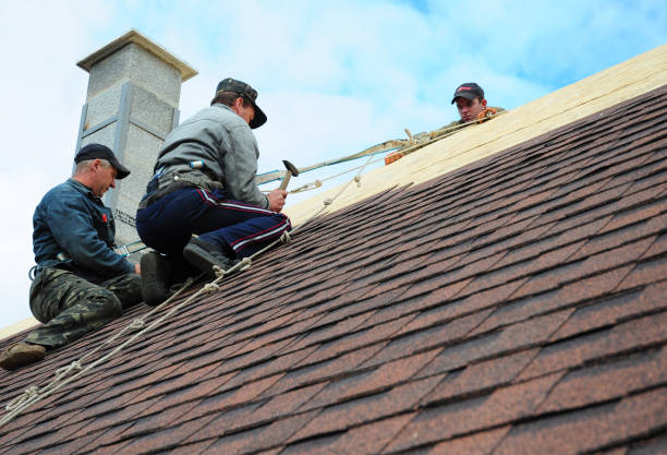 Best Best Roofing Contractors  in Mayville, NY
